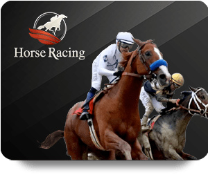 Hi88 Top Bet: A Comprehensive Review of Its Services